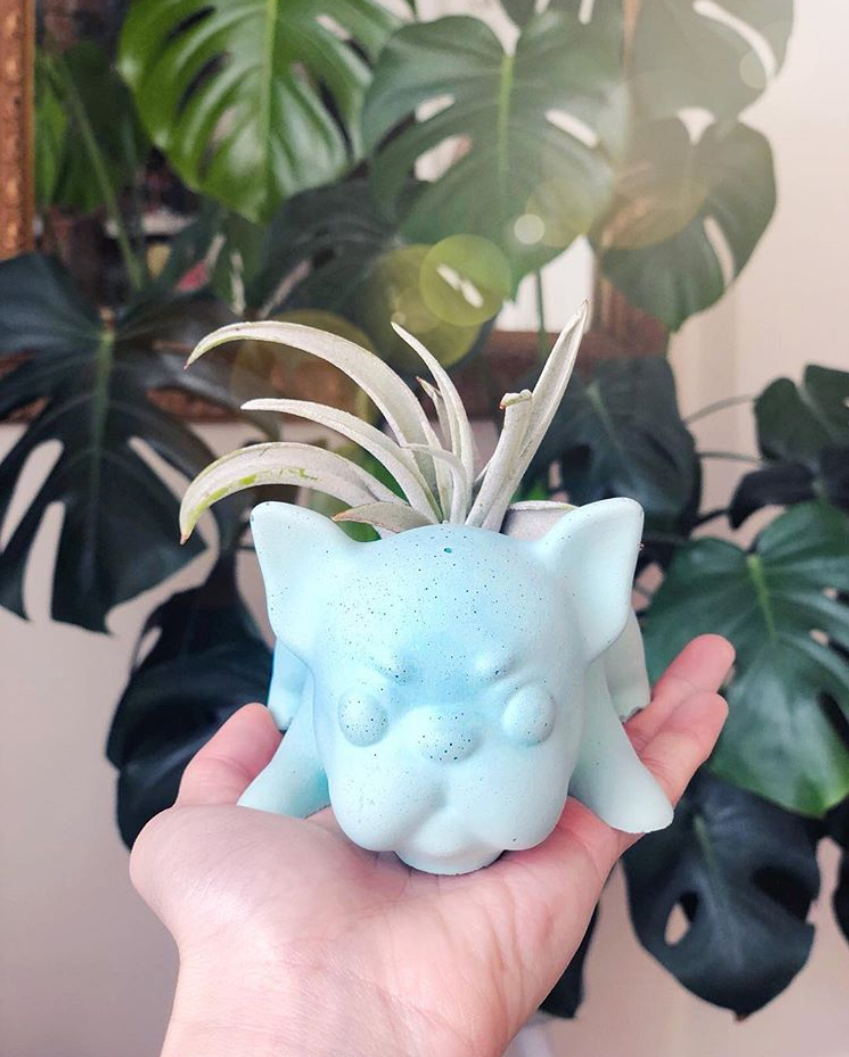 frenchie plant pot Frenchie Planter – Homebody Collective