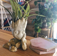 White and gold baby groot planter with airplant