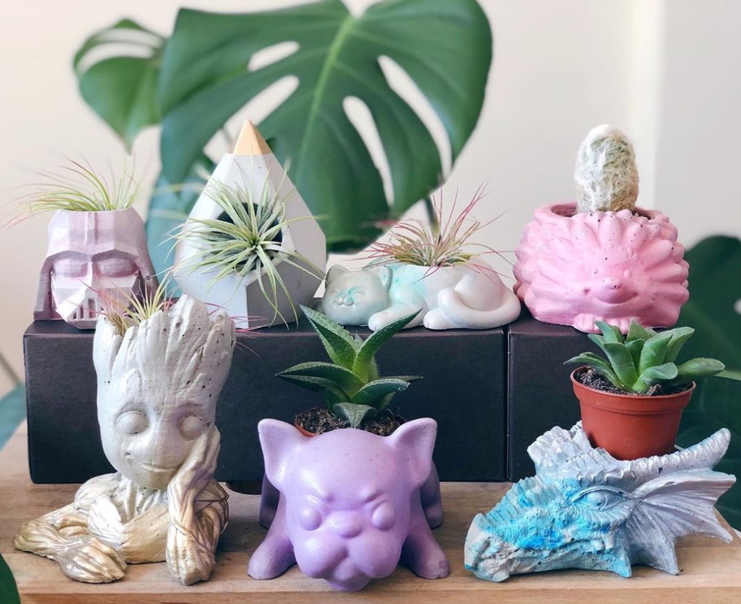 frenchie succulent planter Frenchie Planter – Homebody Collective