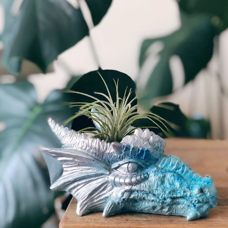 dragon planter pot Dragon Head Planter – Homebody Collective
