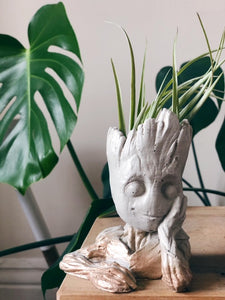 White and gold baby groot concrete/cement planter with airplant
